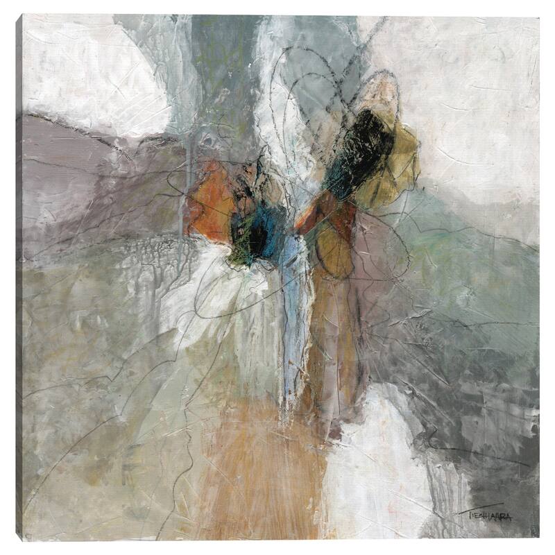 Placidity II by Michael Tienhaara Canvas Art Print