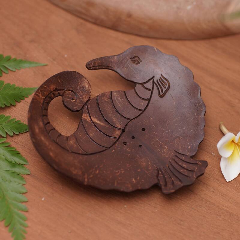 Novica Handmade Serene Seahorse Coconut Shell Soap Dish - Brown