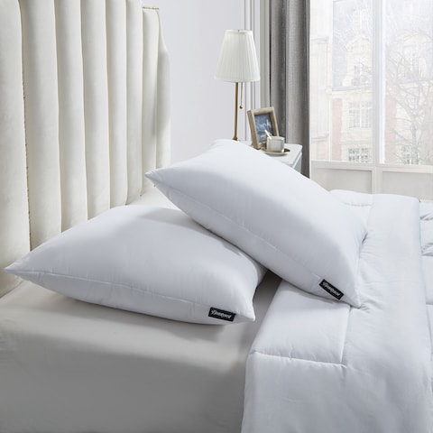 Beautyrest Softy Around European Square 26 x 26 Inch Feather and Down Pillows (Set of 2) - White