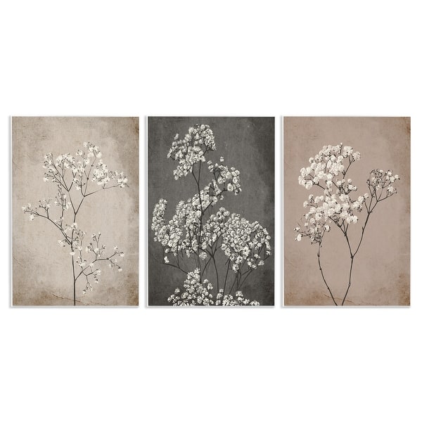 slide 2 of 10, Stupell Botanical Baby's Breath Herbs 3 Piece Wall Plaque Art Set Design by Ros Ruseva 10 x 15