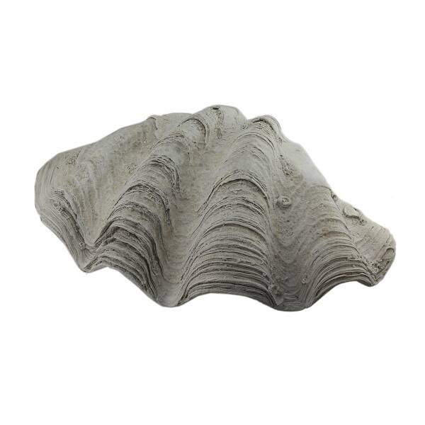 Shop Fossil Finish Plaster Giant Clam Shell Decorative Bowl 22