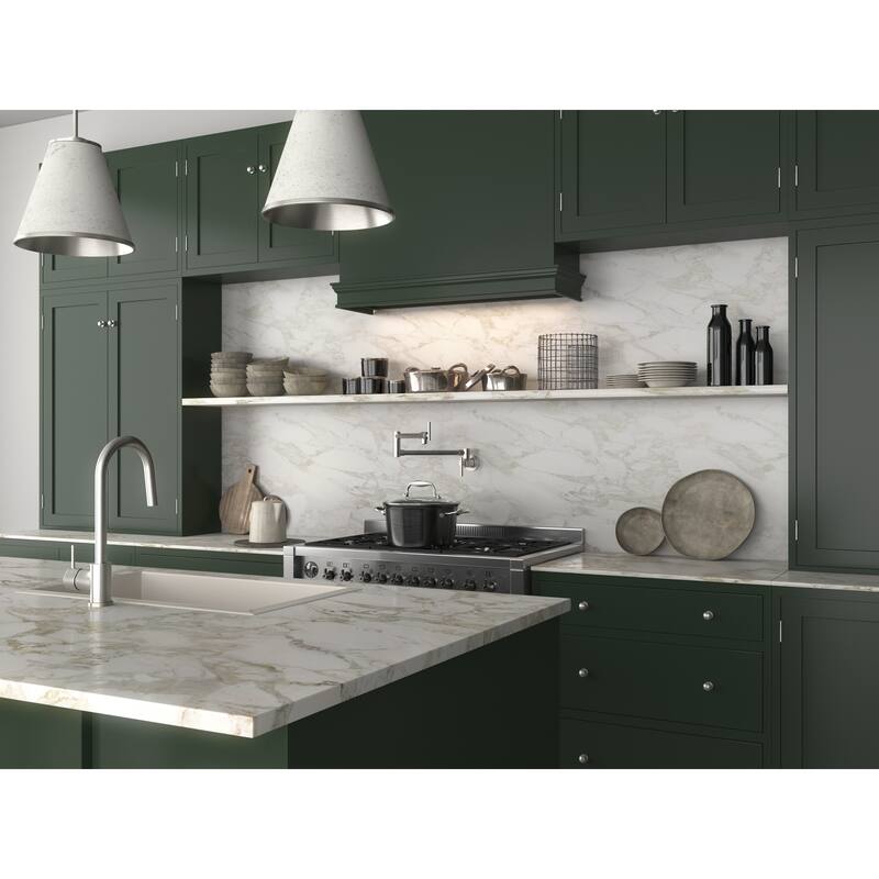 ANZZI Braccia Series 24" Wall Mounted Pot Filler