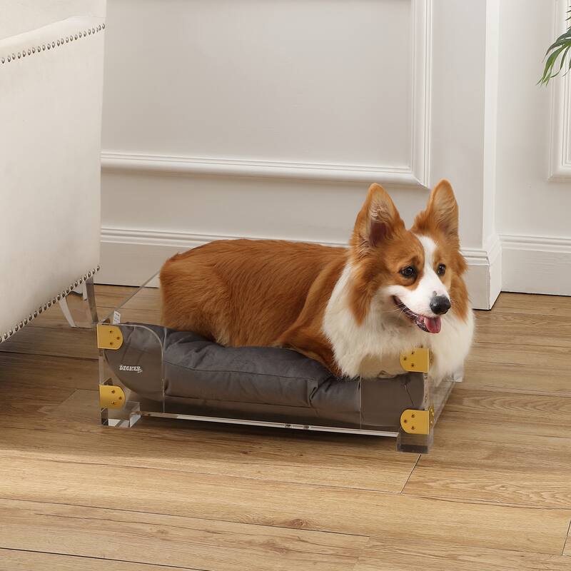 Haines 21.5" x 15.25" Small/Medium Modern Lucite Velvet Pet Bed with Washable Cushion, Dark Gray/Clear