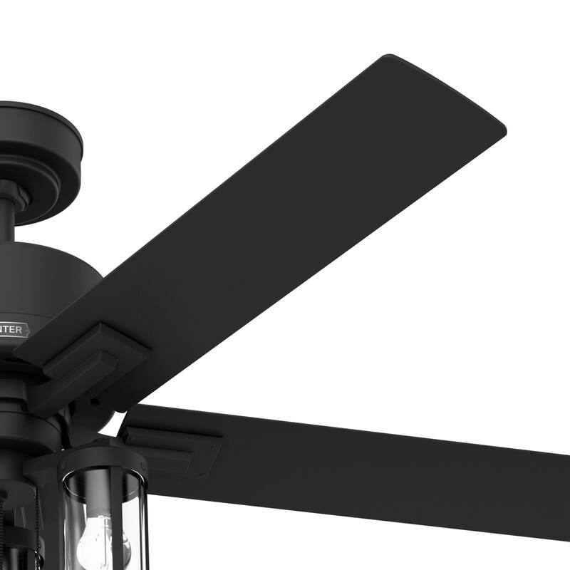 Hunter 52" Lawndale Ceiling Fan with LED Light Kit and Pull Chain, Damp-Rated - Indoor-Outdoor