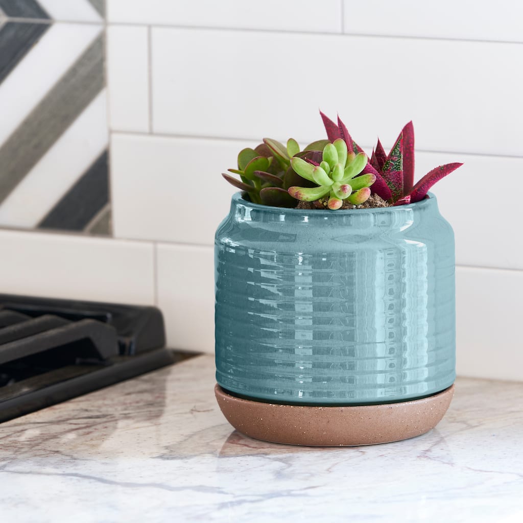 Southern Patio Oakland Blue Ceramic 5.9-inch Planter