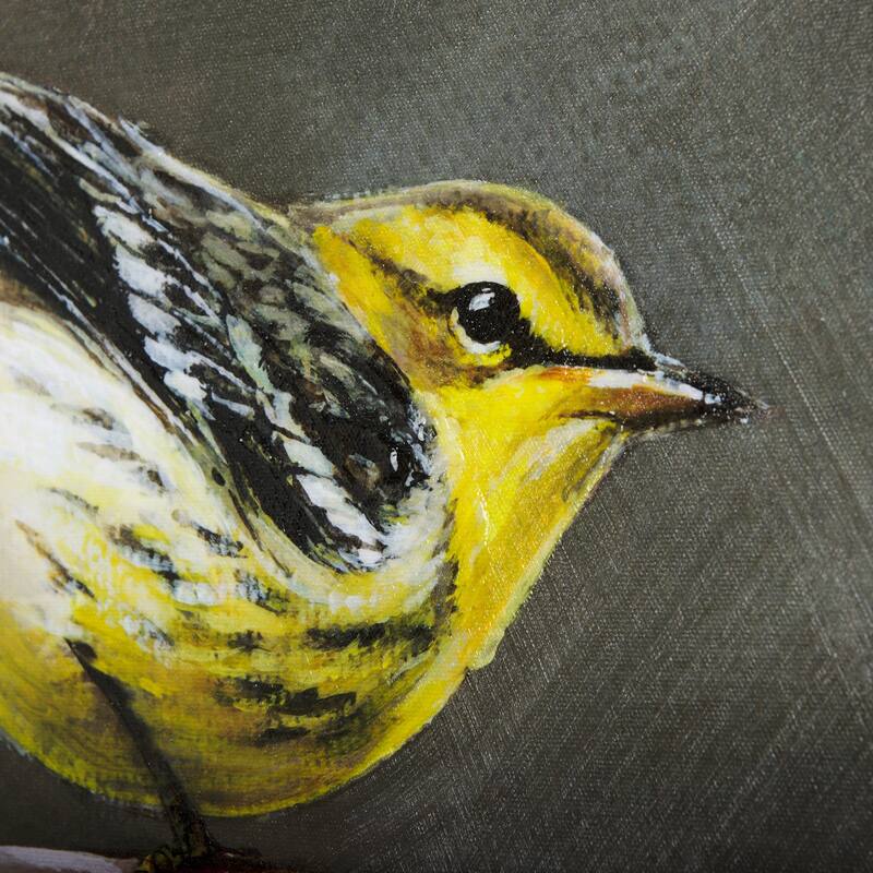 Graceful Poise III (Bay-Breasted Warbler)(42 x 56) Canvas Art Print
