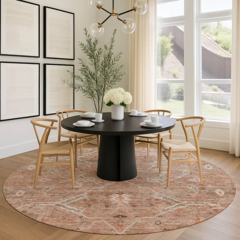 Machine Washable Indoor/ Outdoor Vintage Traditional Chantille Rug
