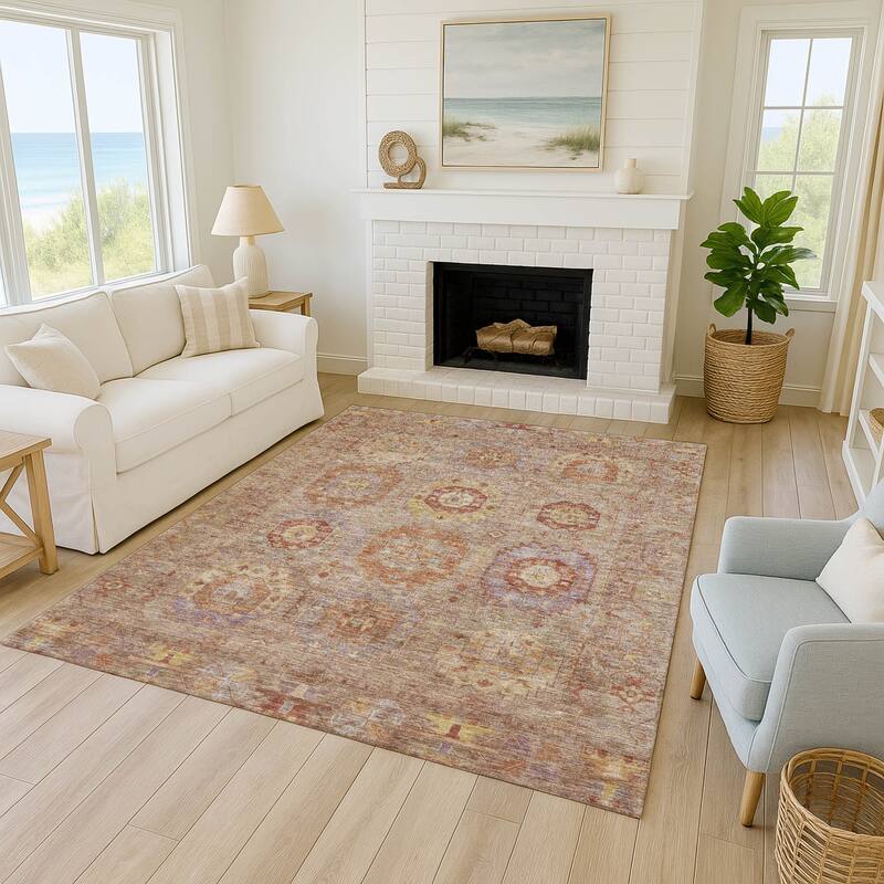 Machine Washable Indoor/ Outdoor Vintage Traditional Chantille Rug