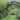 Garden Arbor Trellis with Door, 85" Garden Wedding Trellis