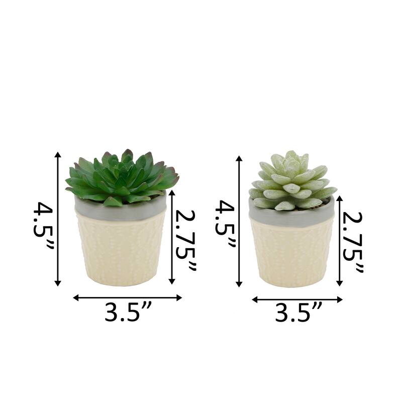 SET OF 2 Artificial Plant Succulent in 3" Dress Icecream Pot - ONE-SIZE