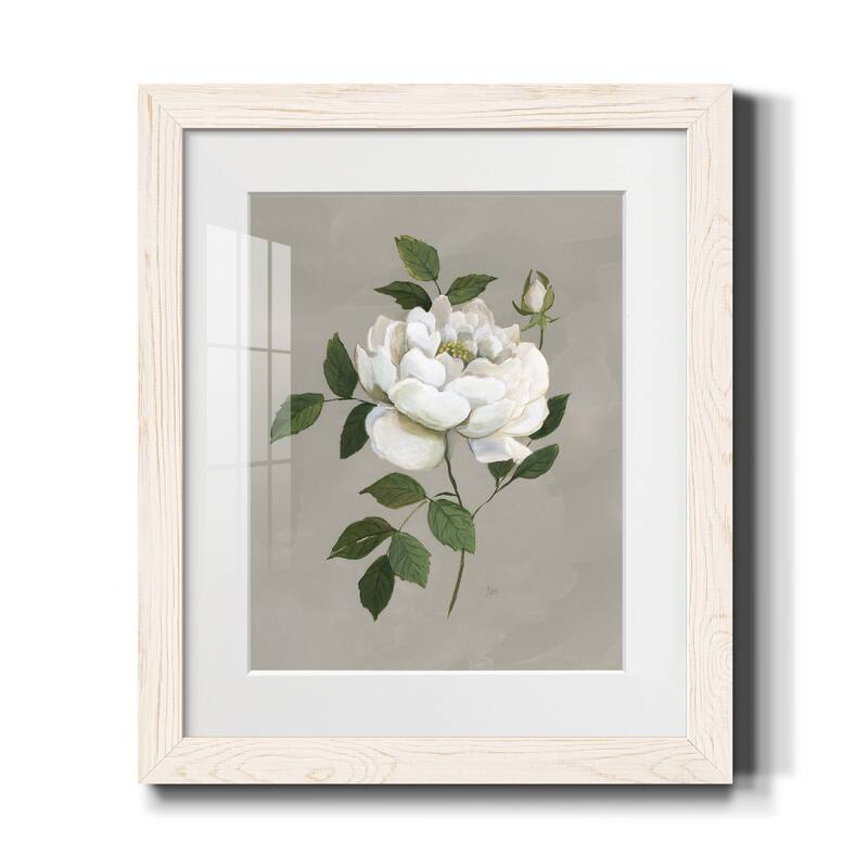 Botanical Rose-Premium Framed Print - Ready to Hang - 20X24 - White