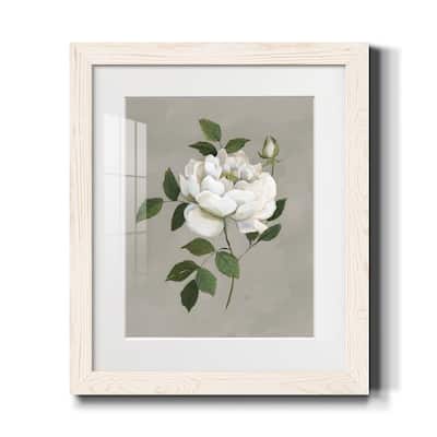 Botanical Rose-Premium Framed Print - Ready to Hang