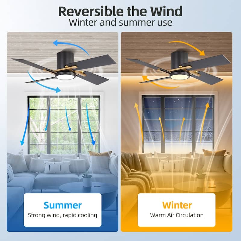 48Inch 4 Two-color Fan Blades Dc Motor Indoor Ceiling Fan With Light Kit And Remote