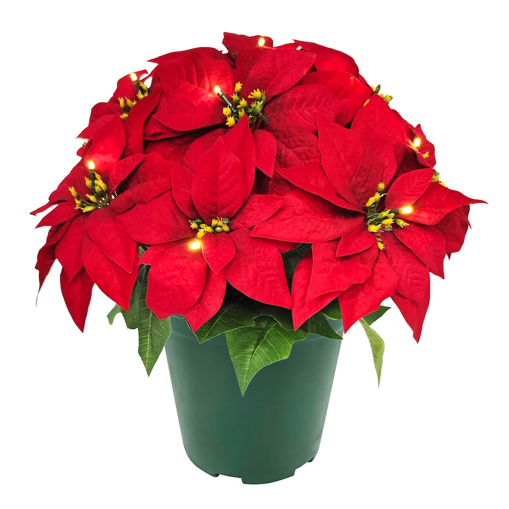 Puleo International 19" Pre-Lit Battery-Operated Artificial Potted Red Poinsettias