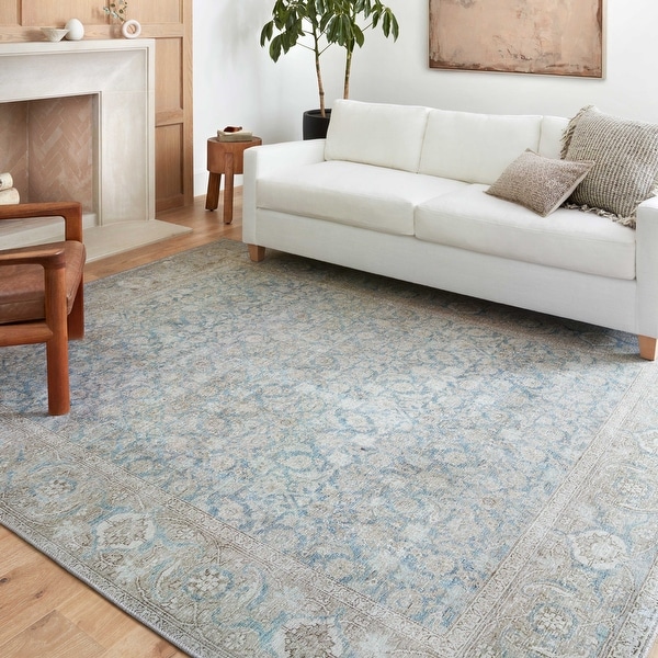 Alexander Home Sophia Printed Shabby Chic Botanical Vintage Area Rug. Opens flyout.
