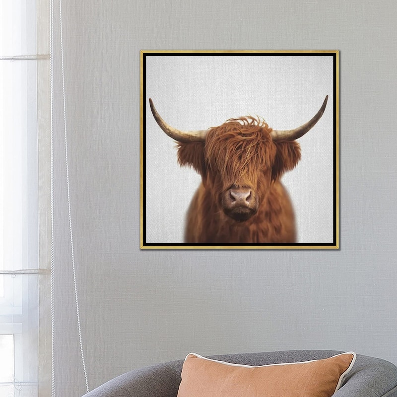 iCanvas "Highland Cow" by Gal Design Framed Canvas Print