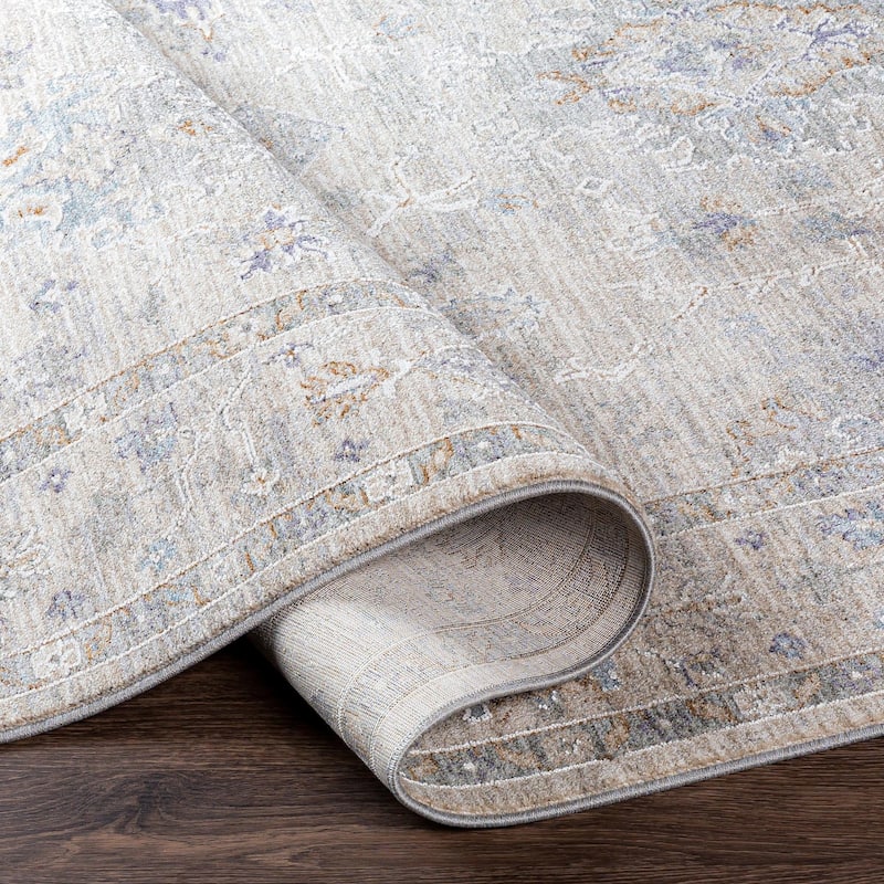 Hunza Updated Traditional Medallion Area Rug