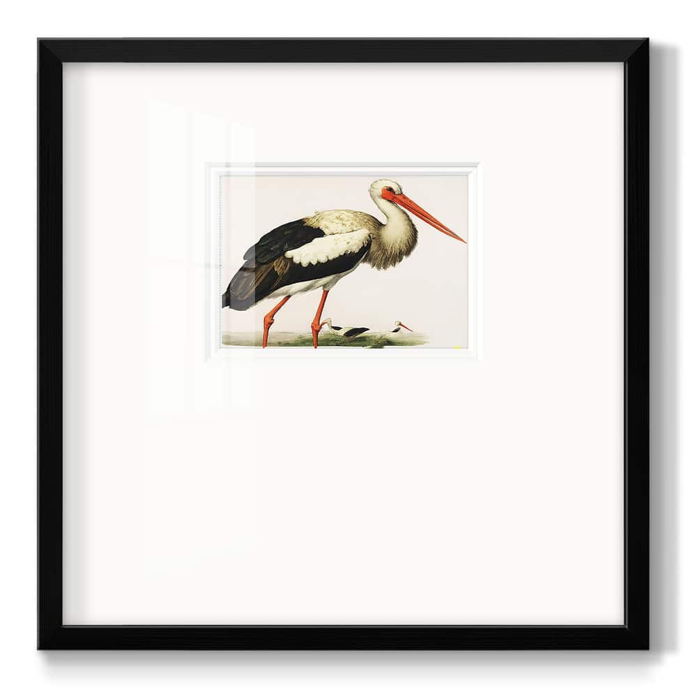 Odd CranePremium Framed Print