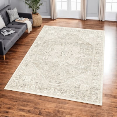 Wei 8 x 10 Large Area Rug, Persian Inspired Medallion Motif, Ivory Beige - 8 x 10