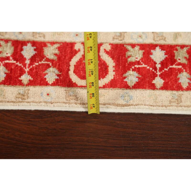 Vegetable Dye Peshawar Chobi Wool Runner Rug Handmade Oriental Carpet - 2'9" x 9'8"