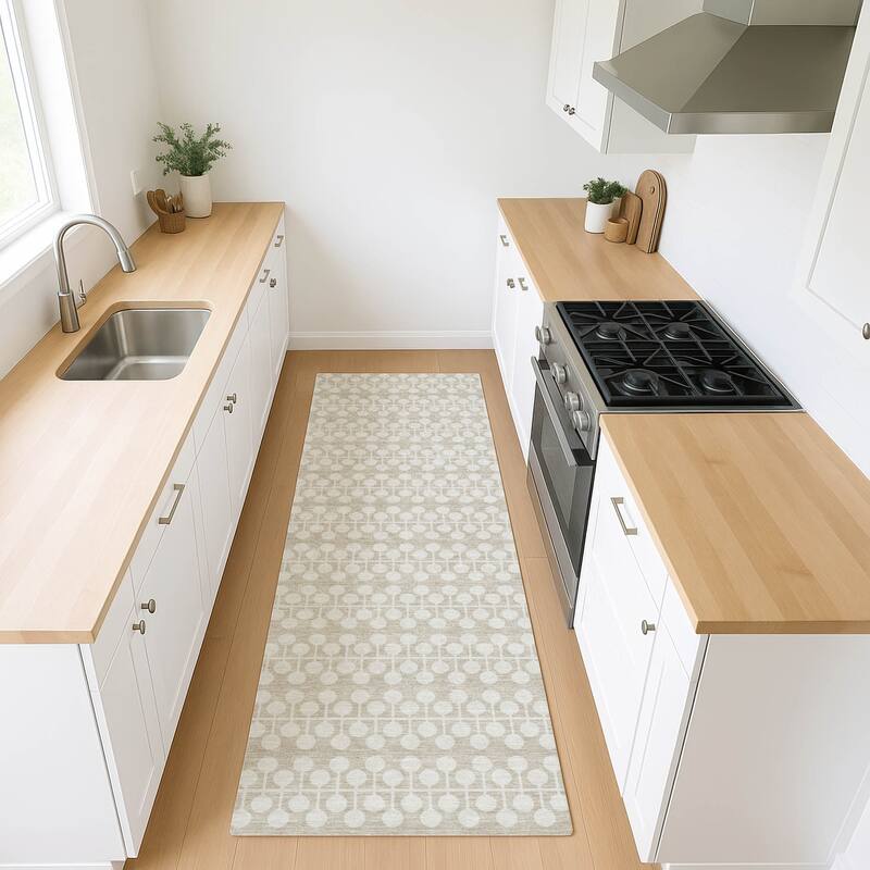 Machine Washable Indoor/ Outdoor Modern Ailey Chantille Rug
