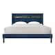 Option Navy Blue