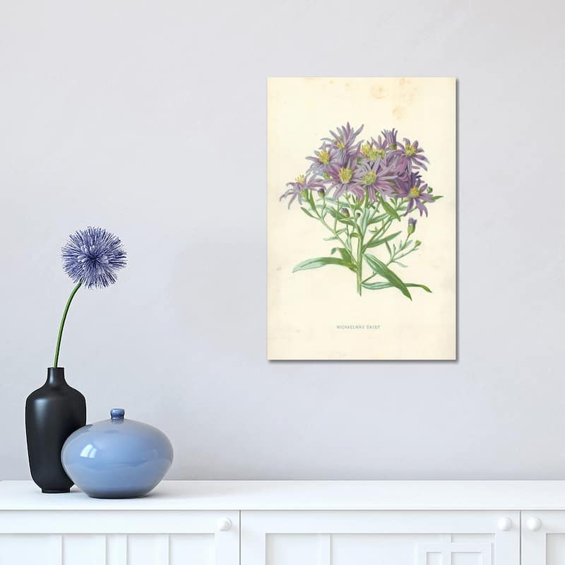 iCanvas "Michaelmas Daisy (Illustration From Familiar Garden Flowers, 1st Series)" by Frederick Edward Hulme Canvas Print - 18x12x1.5