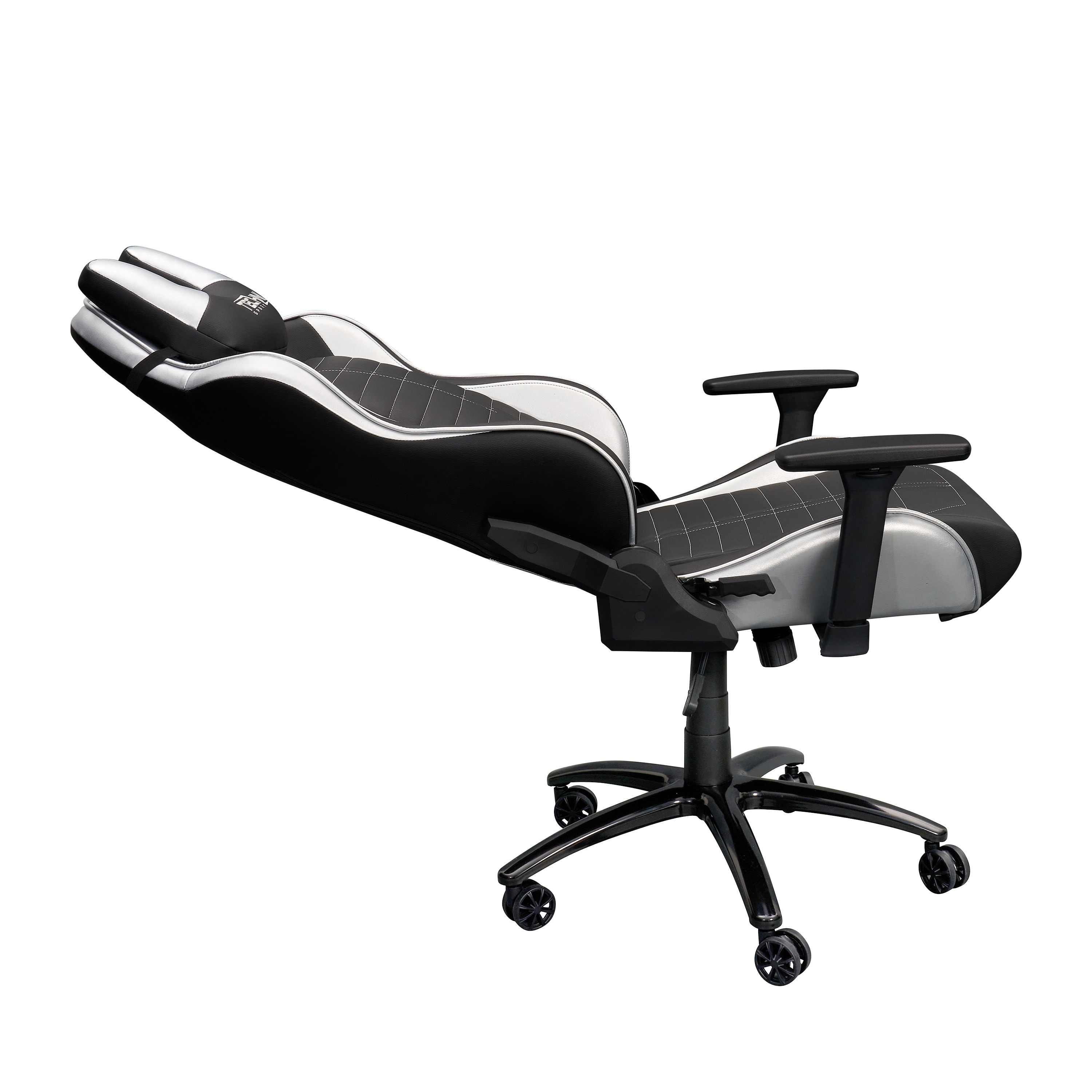 Ergonomic Racing Style Gaming Chair with U-Shaped Neck Pillow an Adjustable  Arms