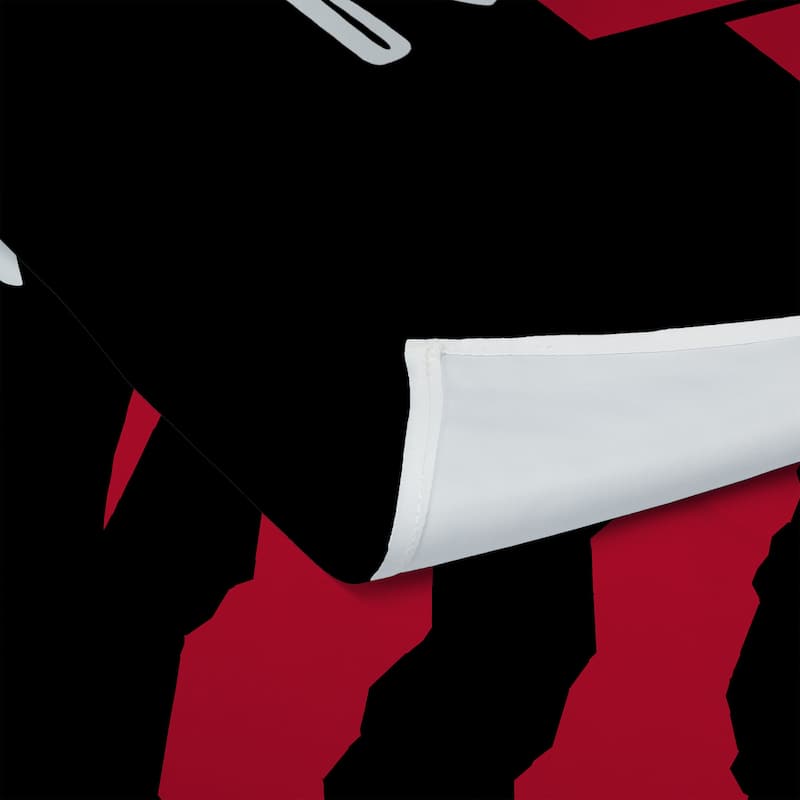 NBA Premium Raptors Printed Wall Hanging - 34"x40"