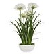 preview thumbnail 3 of 2, Uttermost 60221 Purity Agapanthus 30" Wide Faux Flowers Potted