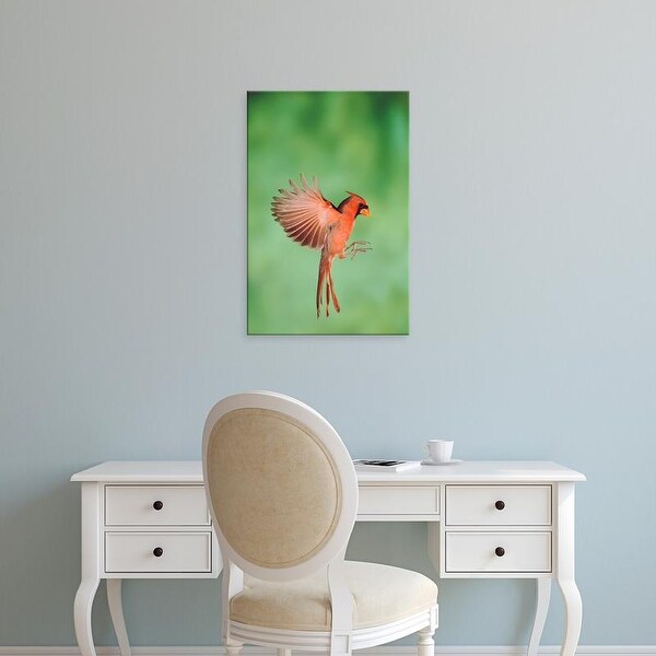 Easy Art Prints Rolf Nussbaumer's 'Northern Cardinal' Premium Canvas Art