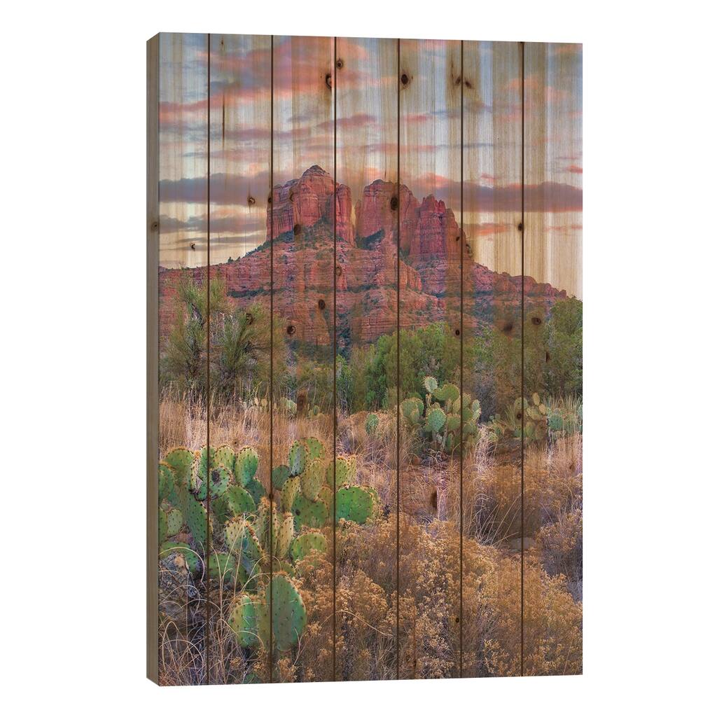 Opuntia Cacti, Cathedral Rock, Sedona, Arizona Print On Wood by Tim Fitzharris - Multi-Color