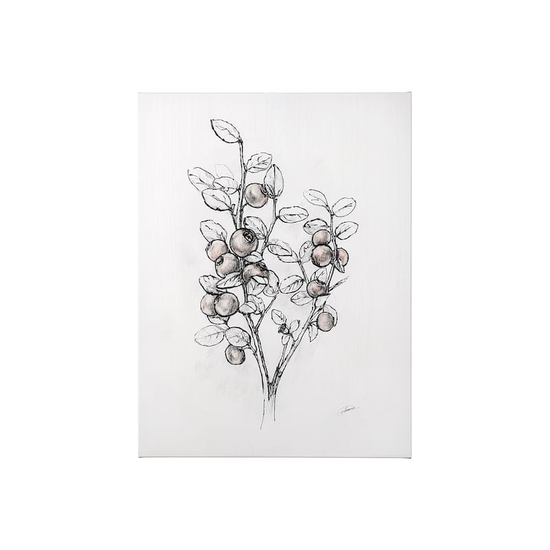 Wildberry Collection Hucklberry (27 x 36) Canvas Art Print - Small