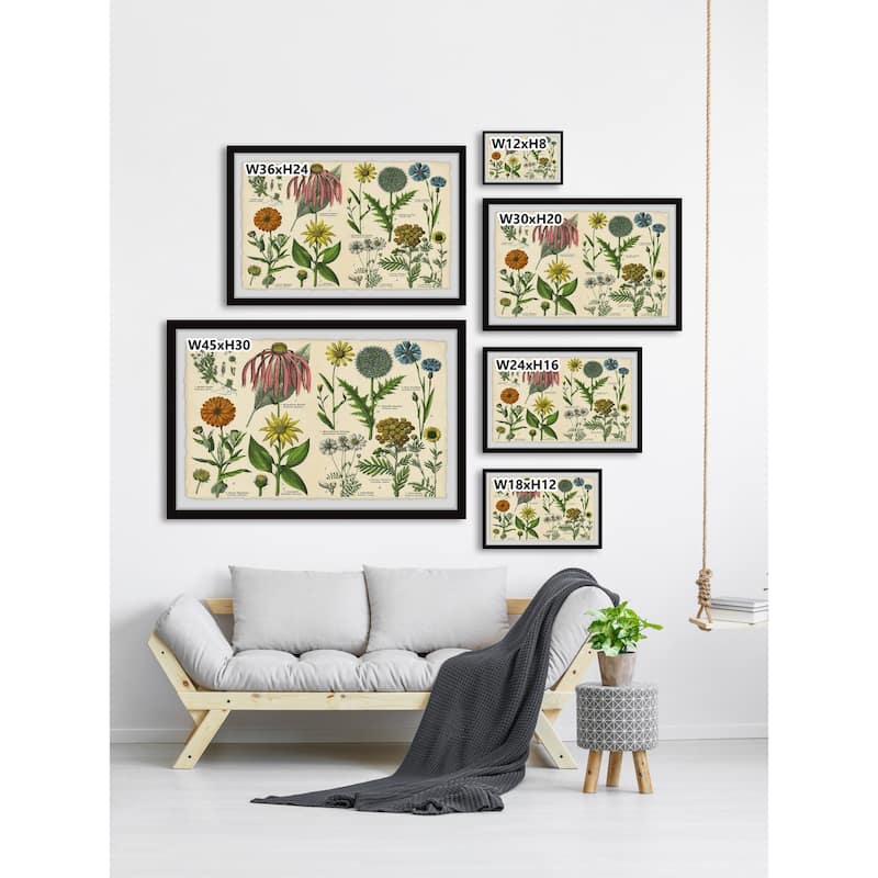 Southern Globethistle Framed Print