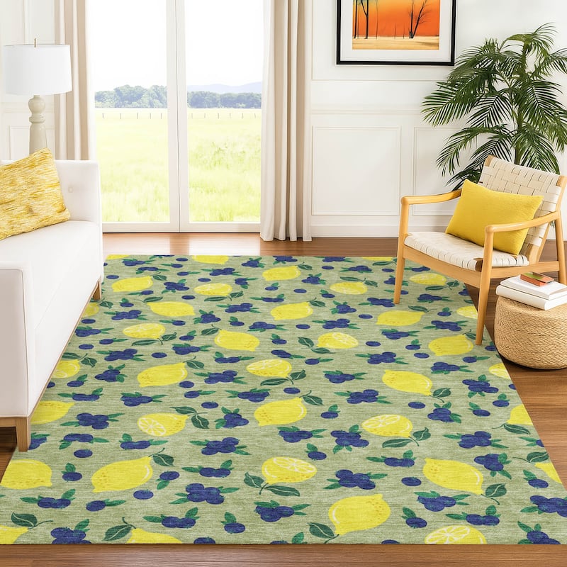 Machine Washable Indoor/ Outdoor Citrus Berry Chantille Rug