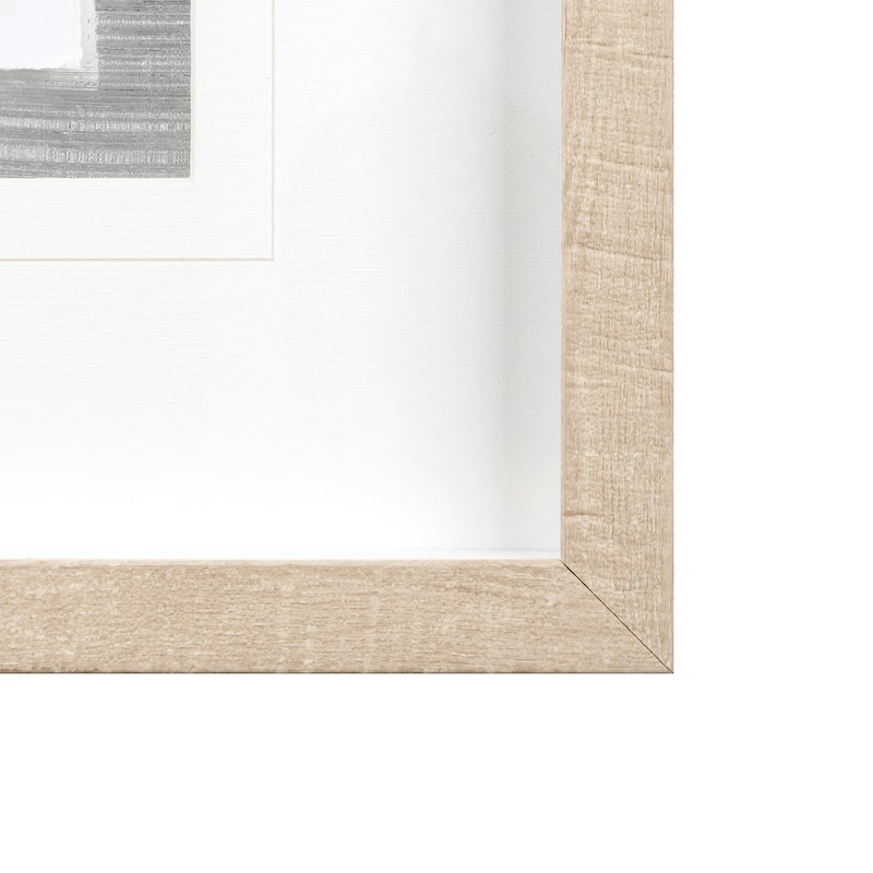 Echinacea I Framed Art Print