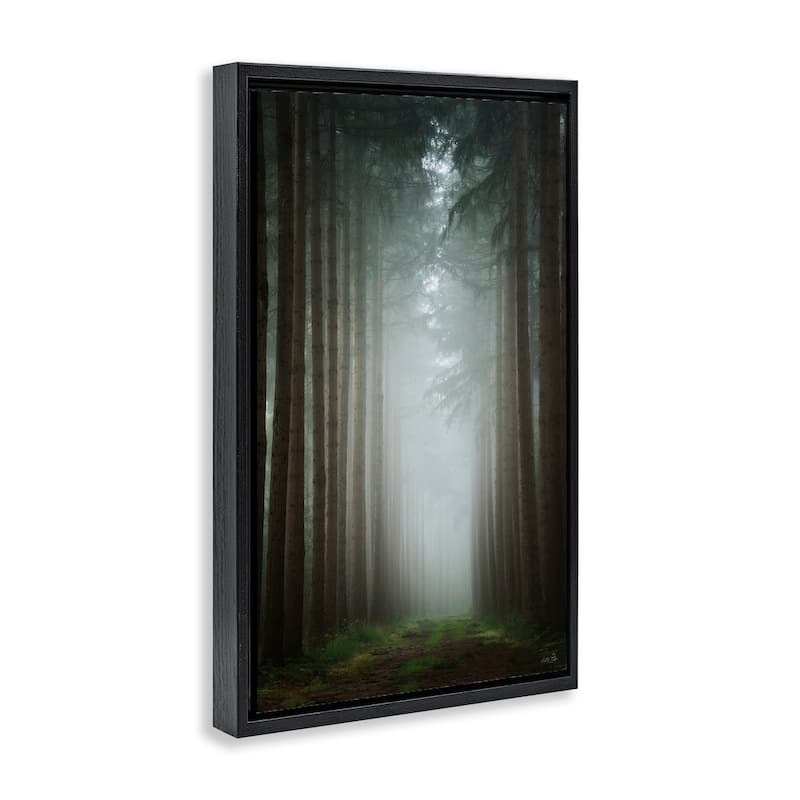 Stupell Moonlight Through Dark Forest Framed Floater Canvas Wall Art Design By Martin Podt