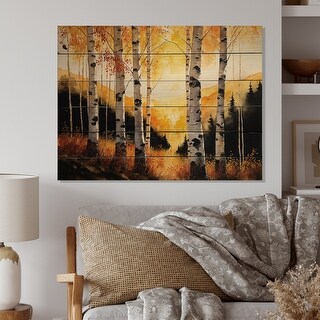 Designart 'Golden Hour Birch Trees I' Landscape Forest Wood Wall Art ...