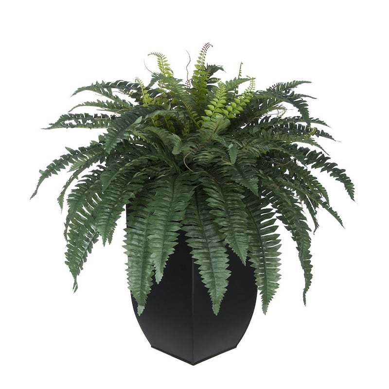 Faux Fern in Tapered Zinc Planter