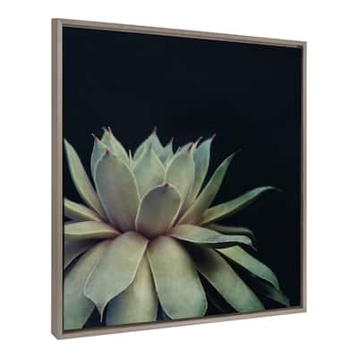 Sylvie Succulent 18x24 Gold Framed Canvas Wall Art by F2 Images