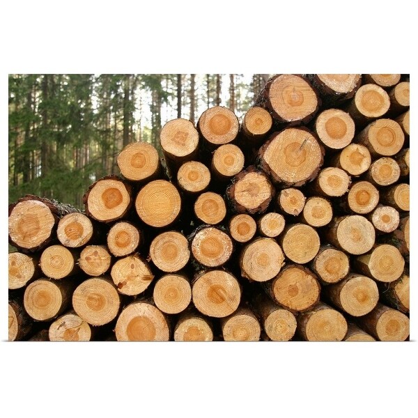 "Stacked logs" Poster Print