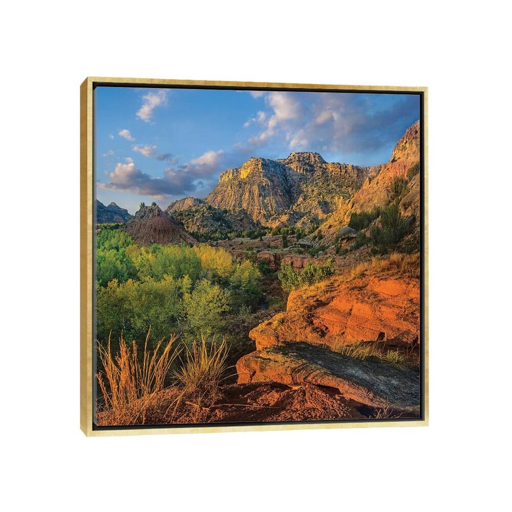 iCanvas "Cottonwood Trees And Mountains, Palo Duro Canyon State Park, Texas" by Tim Fitzharris Framed Canvas Print