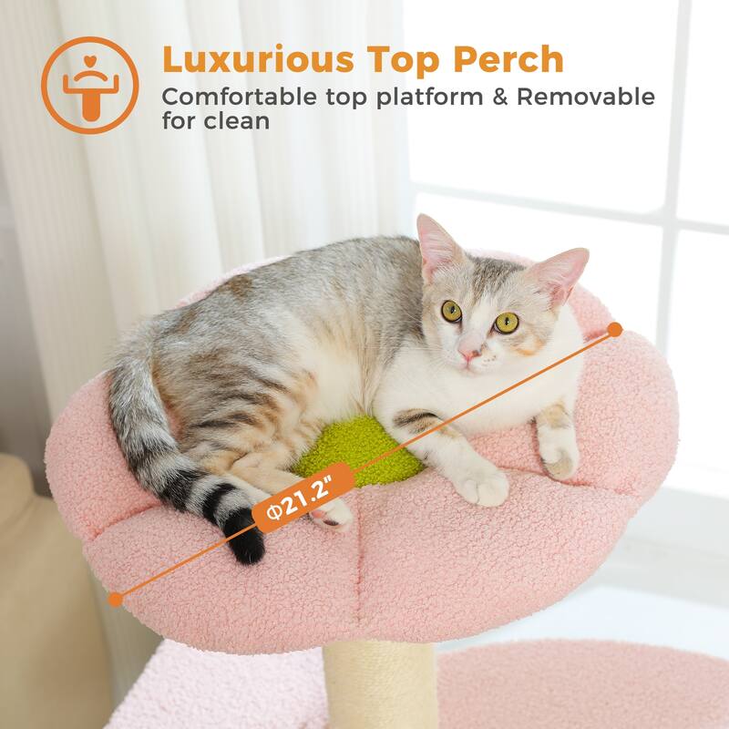 50" Large Cat Tree with 2 Tier Skirting Boards