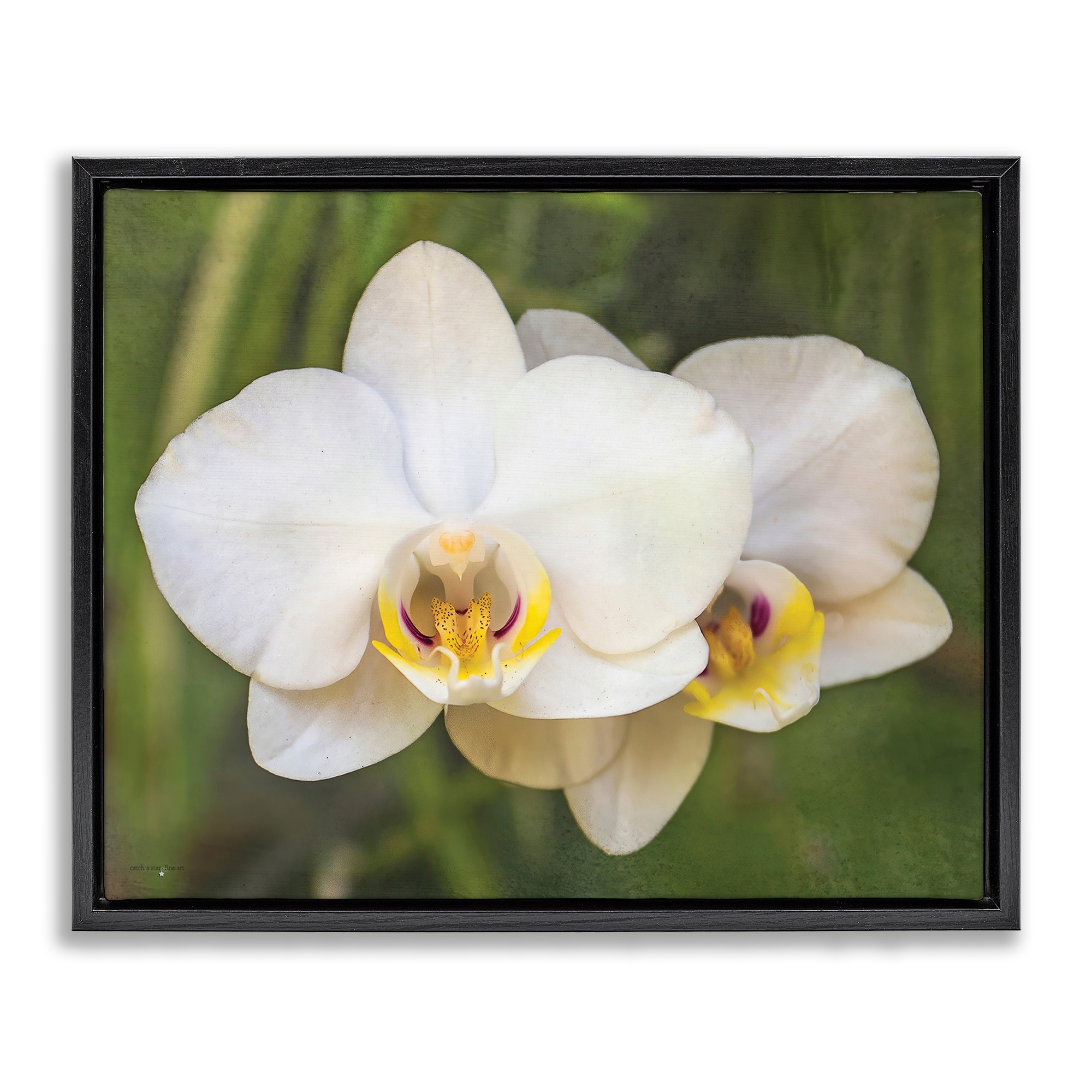 Stupell Orchid Blossom Glow Framed Floater Canvas Wall Art Design By Seven Trees Design