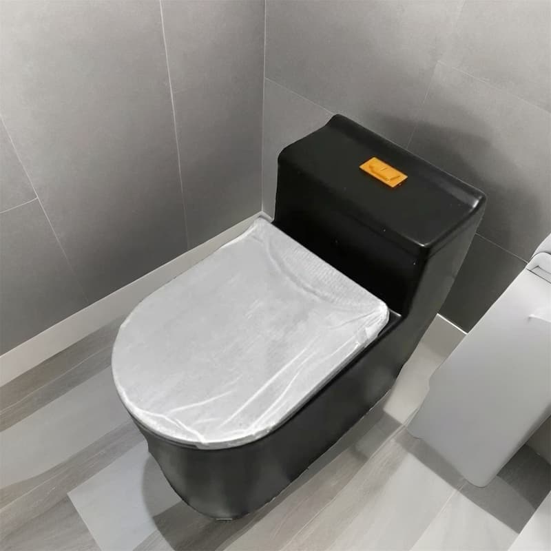 Black Saving Water One Piece Toilet with Seat