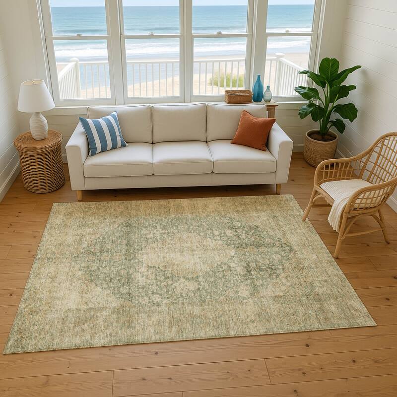 Premium Washable Super Soft Vintage Traditional Mayfield Rug
