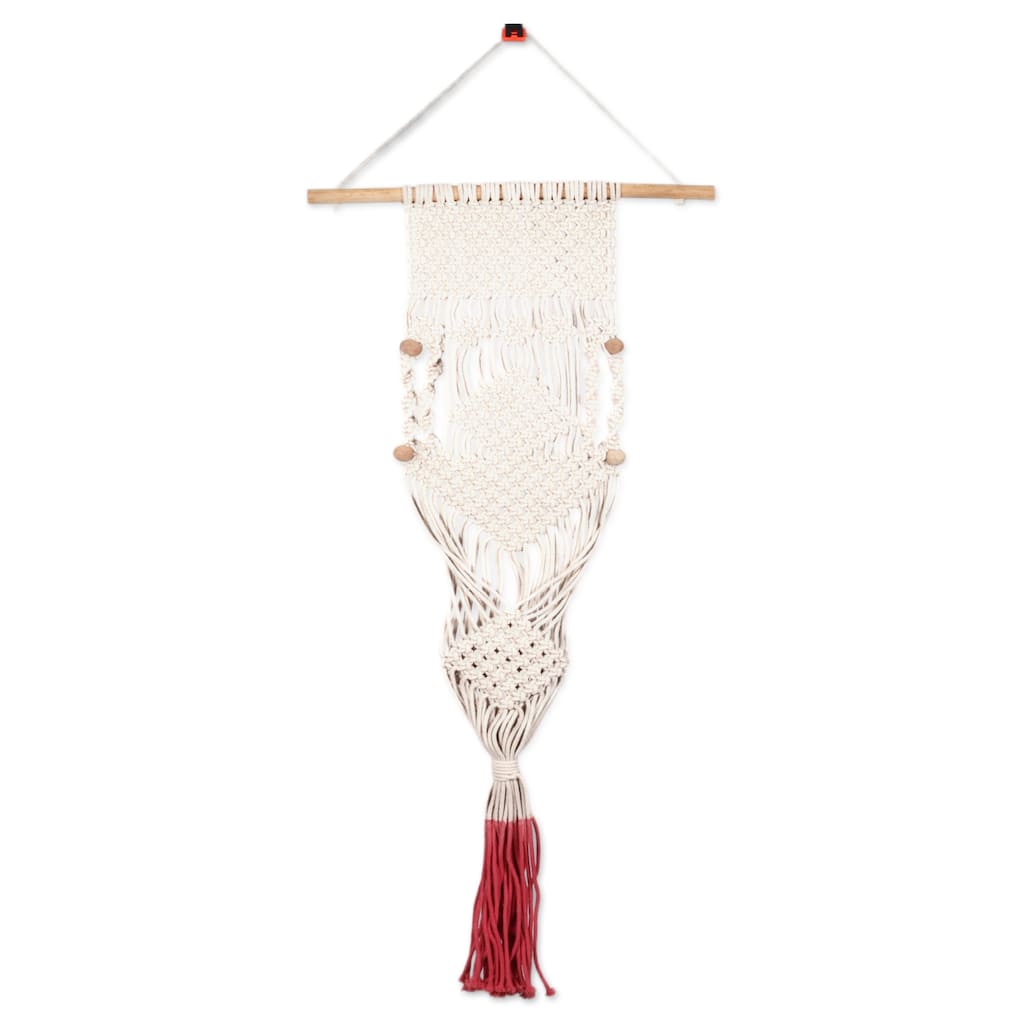 Novica Handmade Fire Threads Cotton Hanging Planter