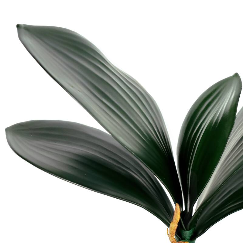 Set of 3 Artificial Phalaenopsis Orchid Leaf Plant Greenery Foliage Spray Branch with Roots 12in - 8" L x 12" W x 3.5" DP