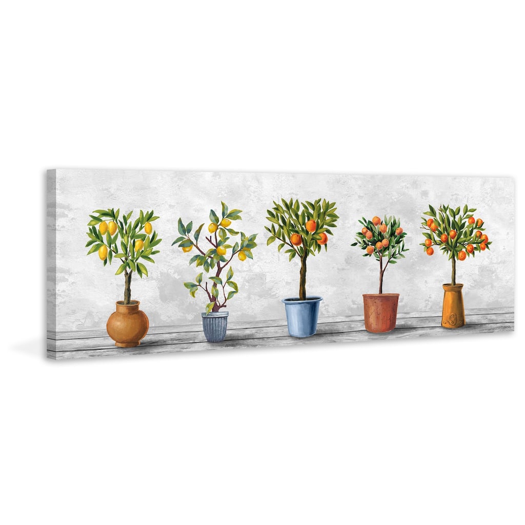 'Photographic Set of Plants' Painting Print on Wrapped Canvas