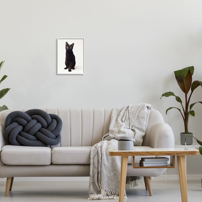 Stupell Cute Black Cat Expressive Eyes Pet Portrait Framed Giclee Texturized Art by Marika Moffit